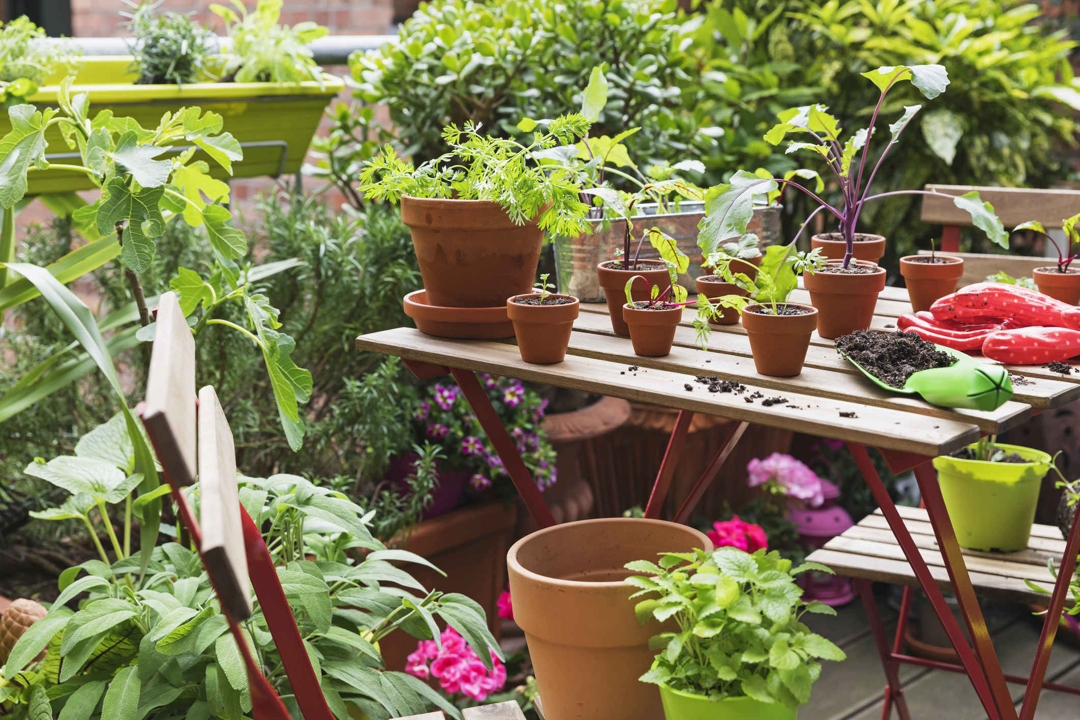 Balcony Garden Inspiration: Simple and Stylish Ideas for Small Spaces